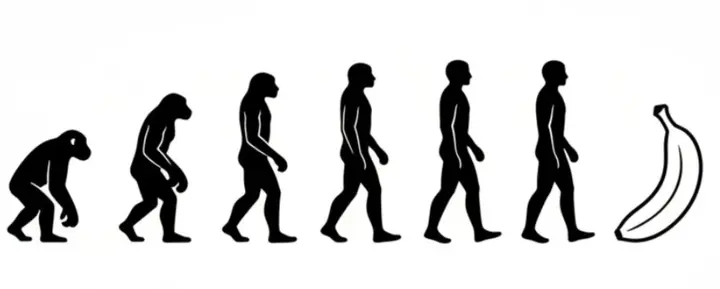 Black and White Evolution Chart, FIBO 2 example